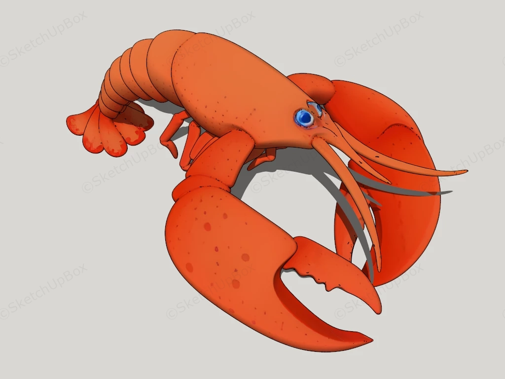 Sea Lobster sketchup model preview - SketchupBox