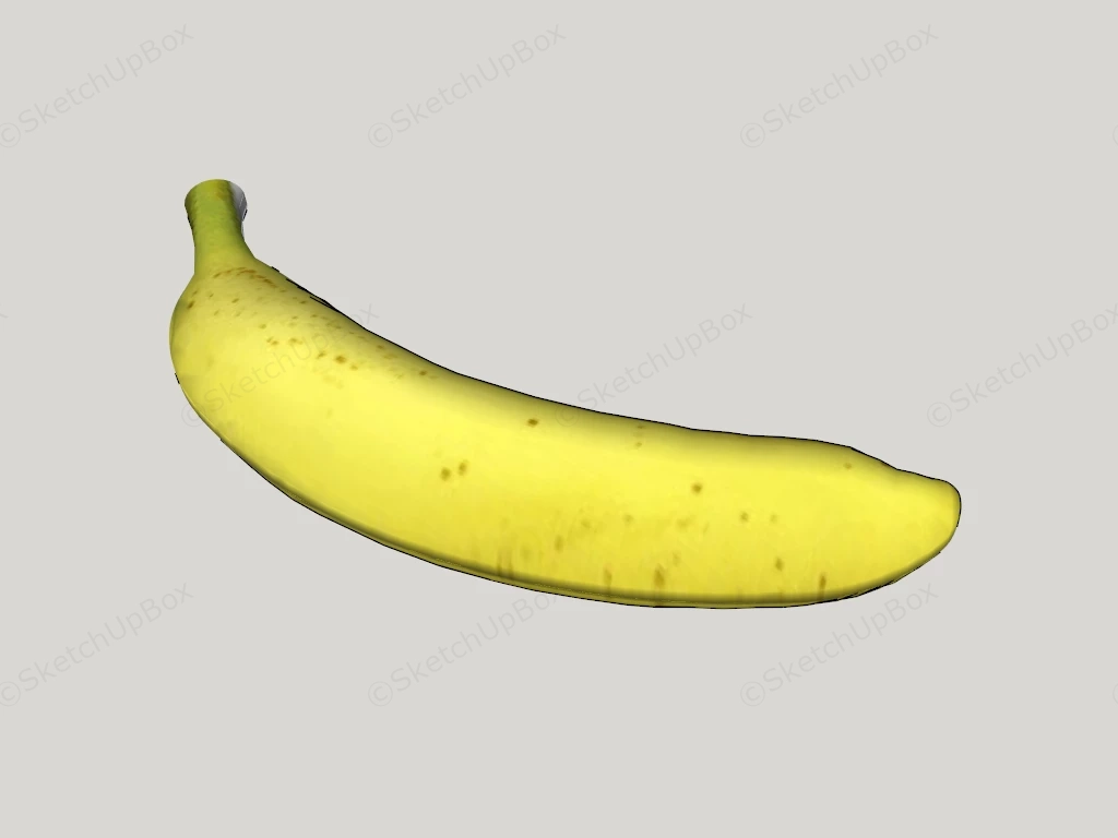 Single Banana Fruit sketchup model preview - SketchupBox
