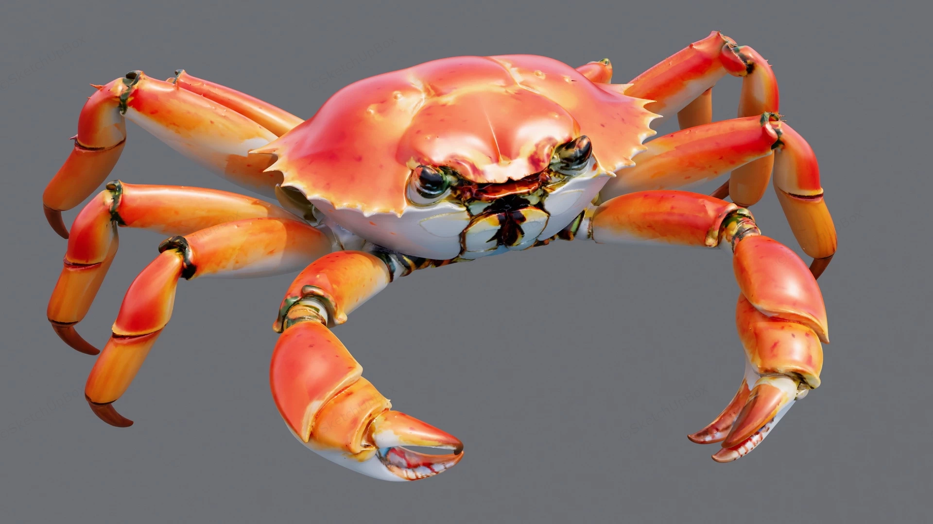Red Crab sketchup model preview - SketchupBox