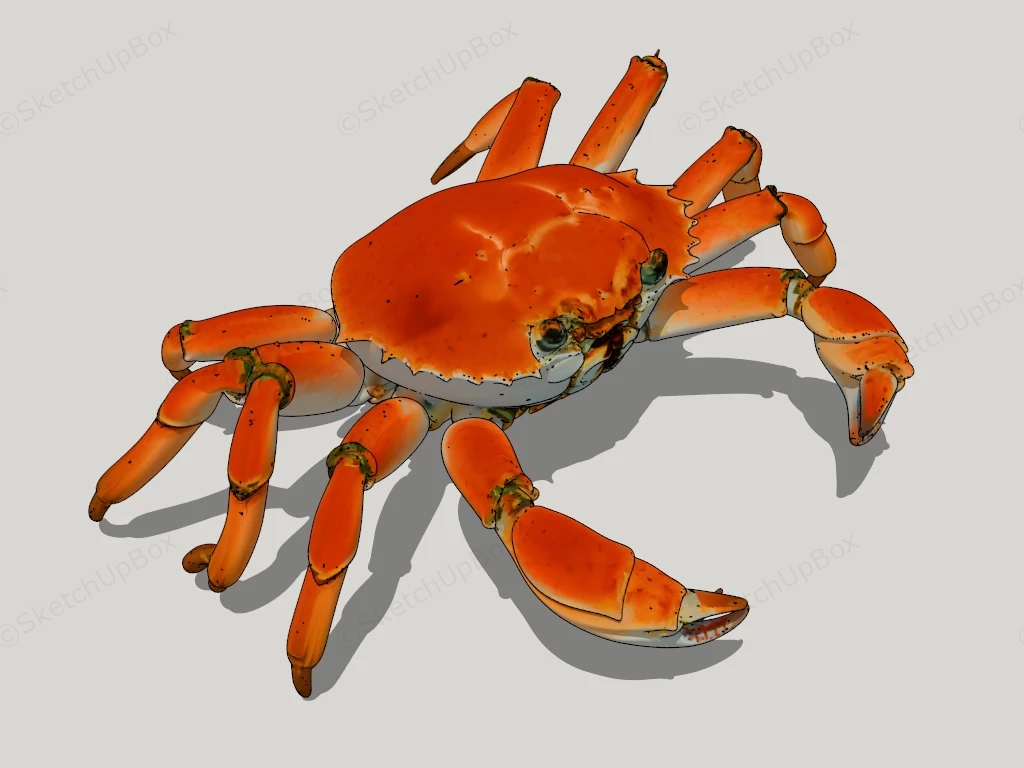 Red Crab sketchup model preview - SketchupBox