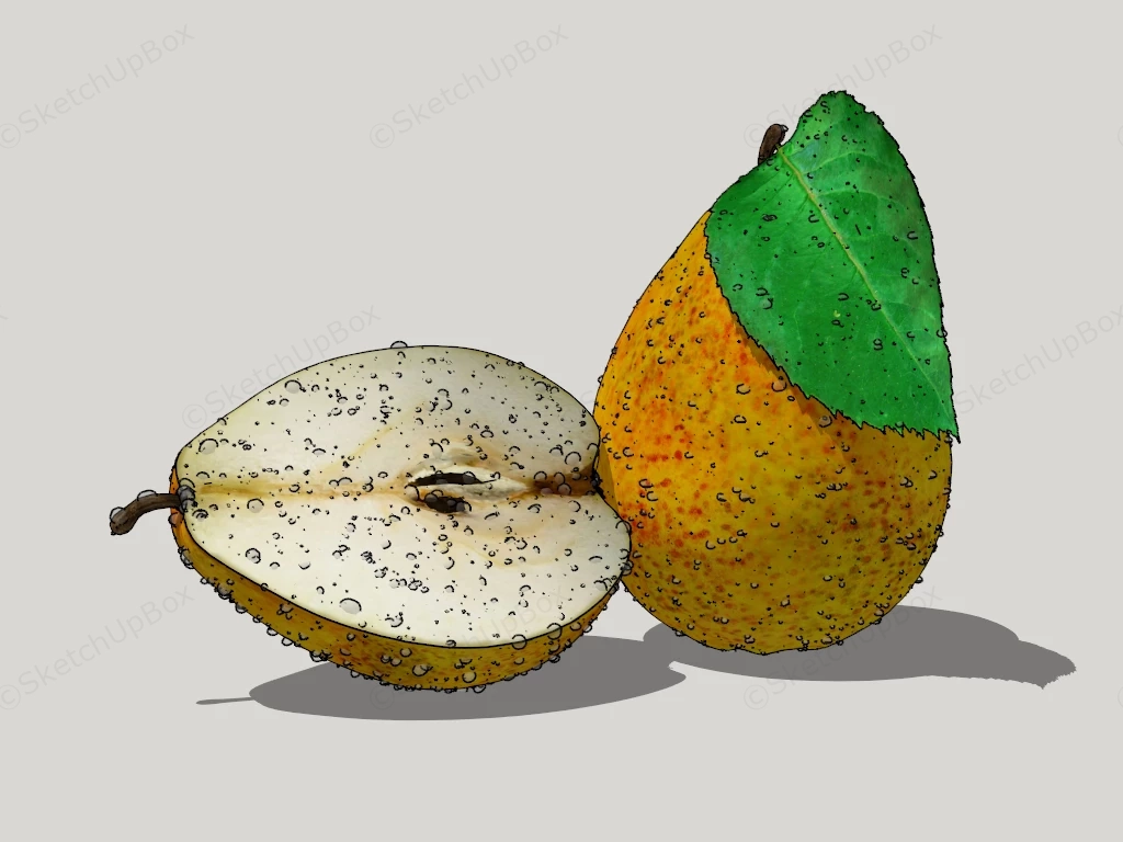 Pear Fruit sketchup model preview - SketchupBox