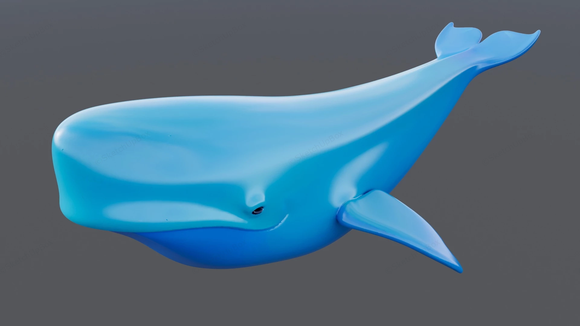 Cute Blue Whale sketchup model preview - SketchupBox