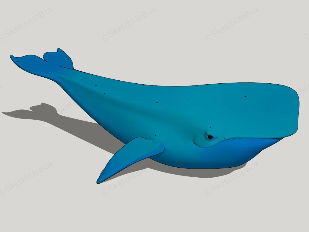 Cute Blue Whale sketchup model preview - SketchupBox