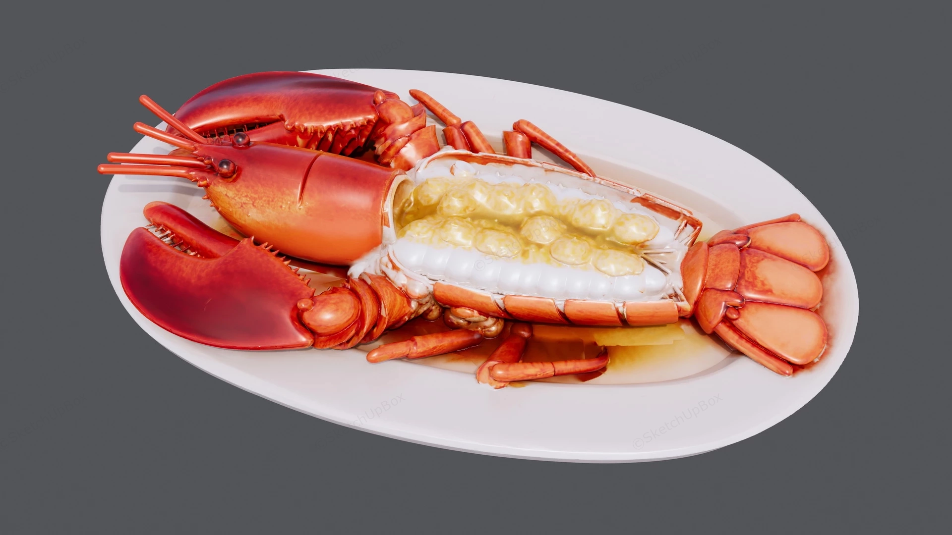 Lobster Dish sketchup model preview - SketchupBox