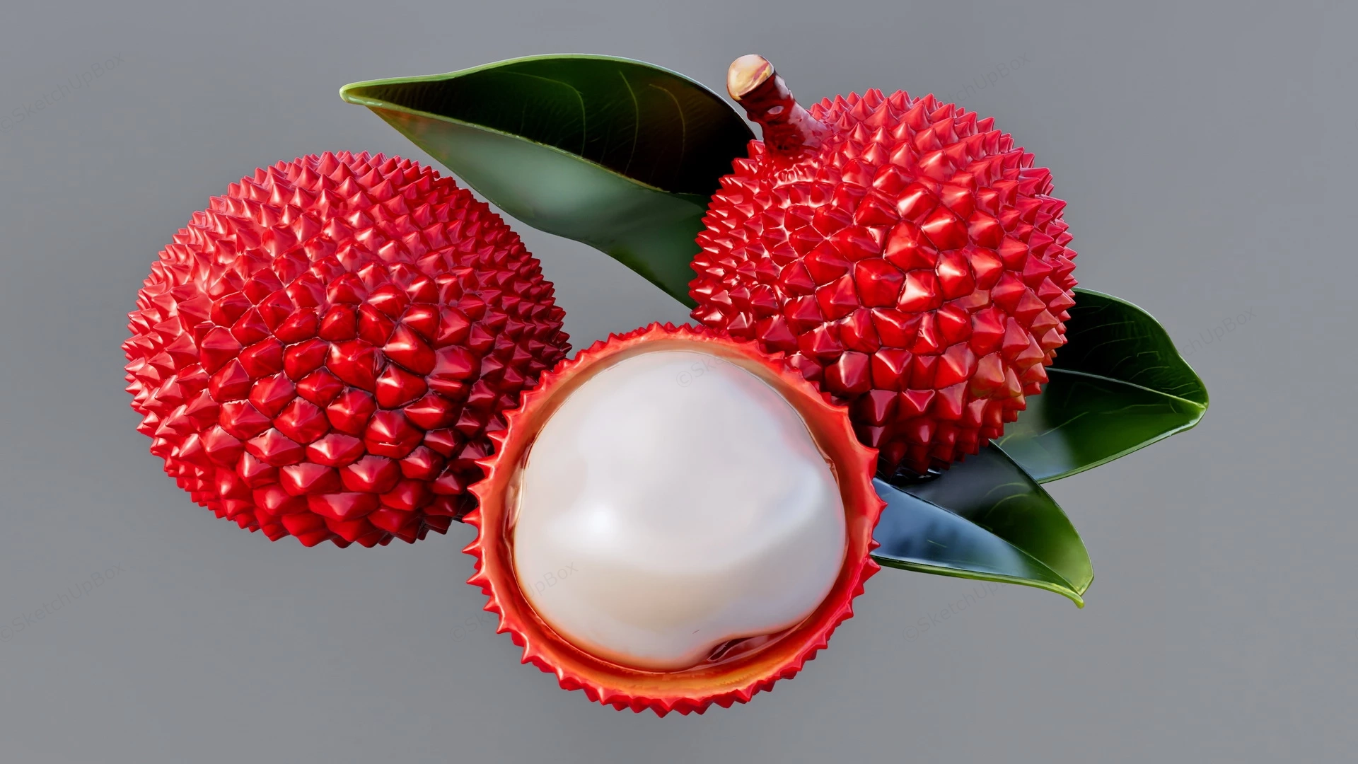 Fresh Lychees sketchup model preview - SketchupBox
