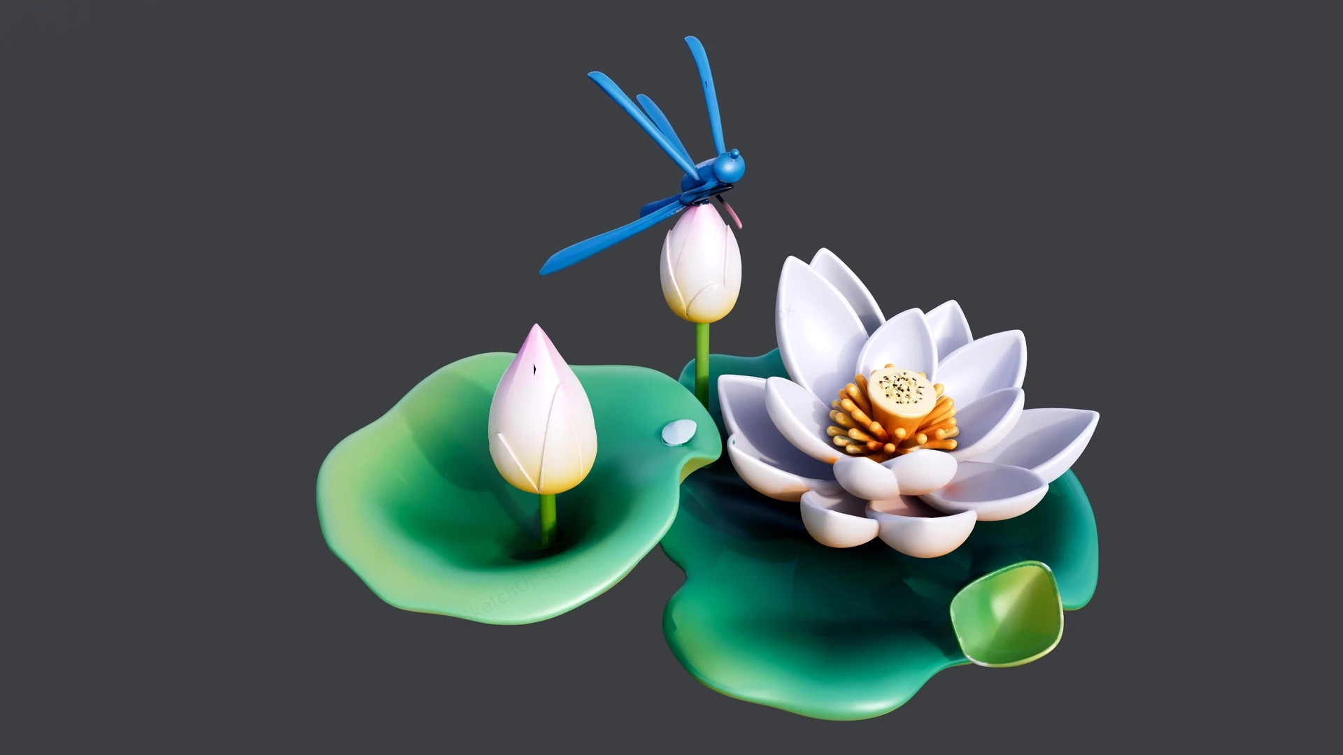 Lotus Flowers sketchup model preview - SketchupBox