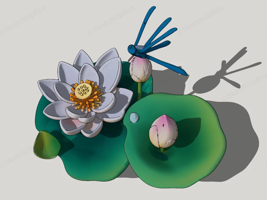 Lotus Flowers sketchup model preview - SketchupBox