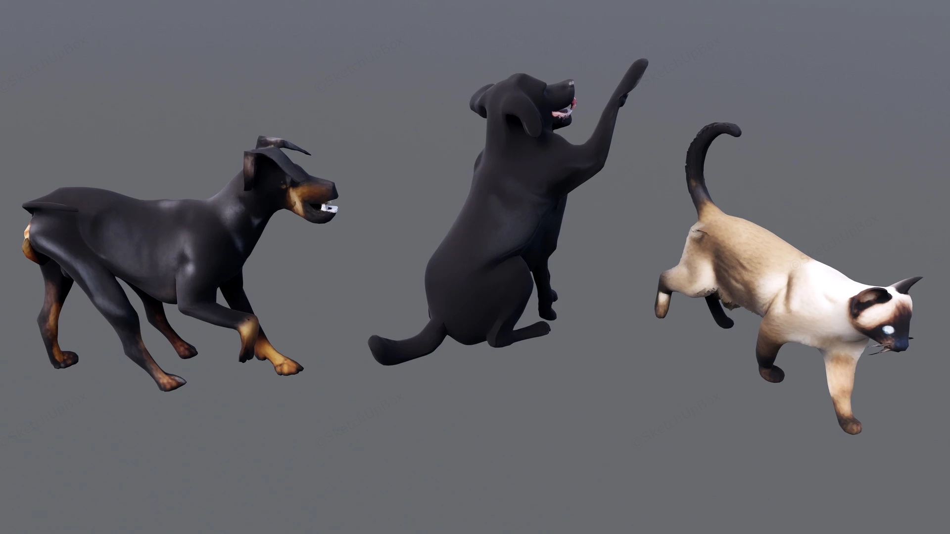 Dogs And Cat sketchup model preview - SketchupBox