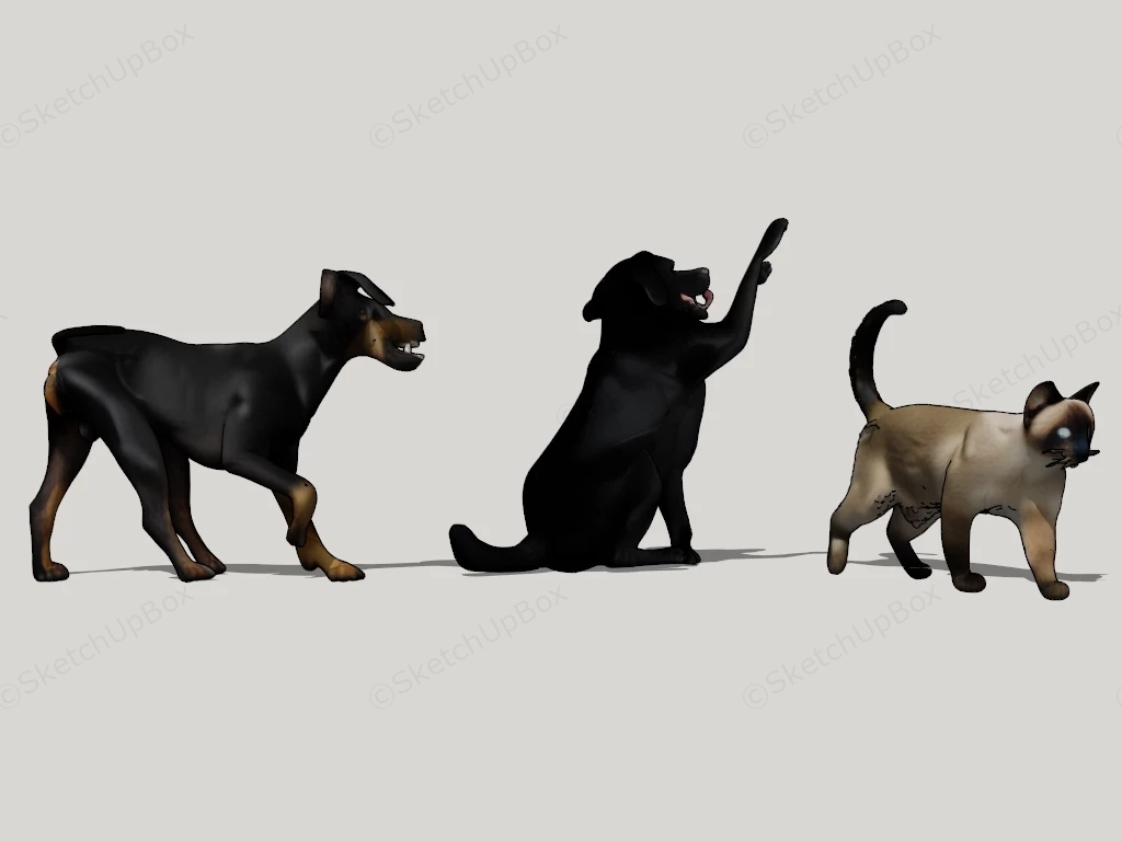 Dogs And Cat sketchup model preview - SketchupBox