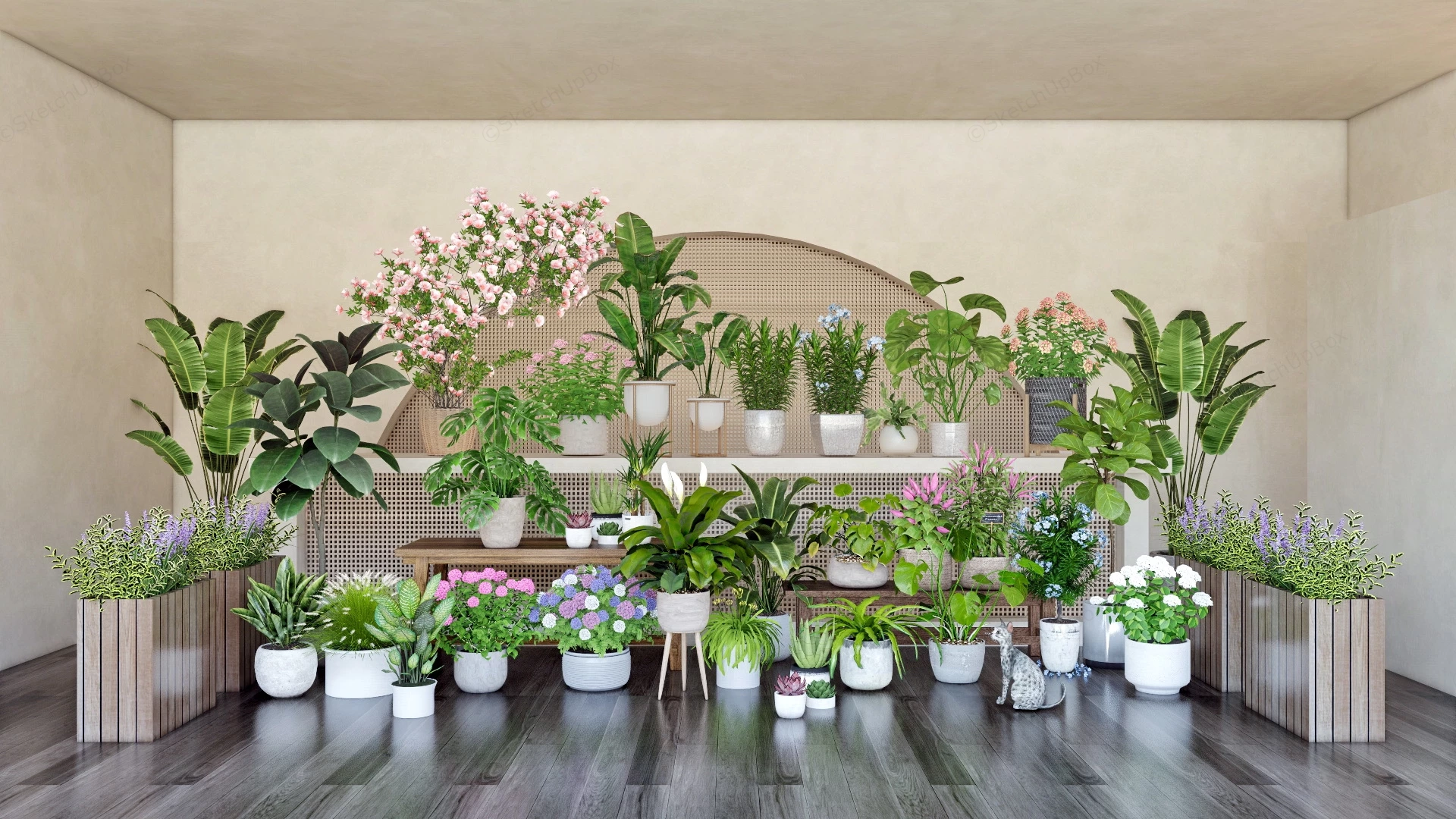 Houseplant Collection sketchup model preview - SketchupBox