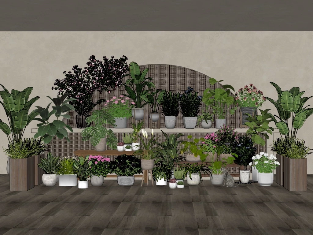 Houseplant Collection sketchup model preview - SketchupBox