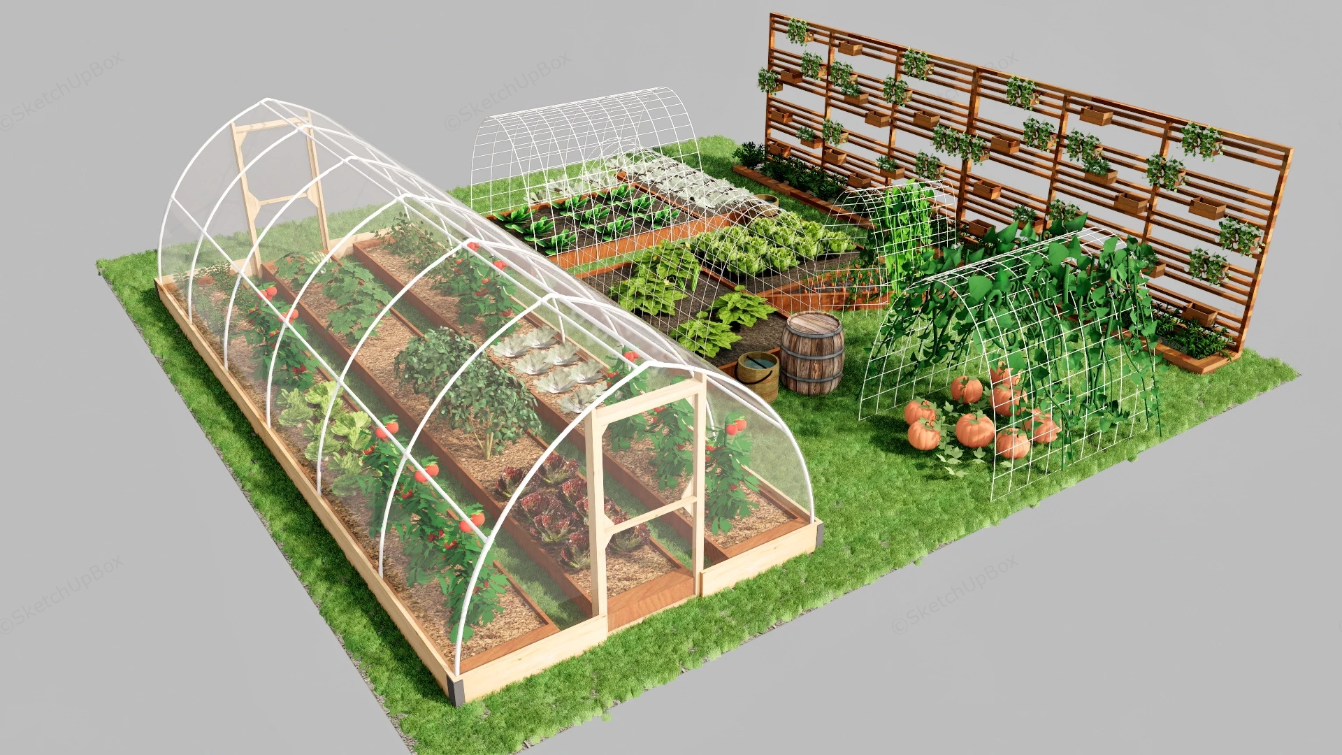 Family Vegetable Garden sketchup model preview - SketchupBox
