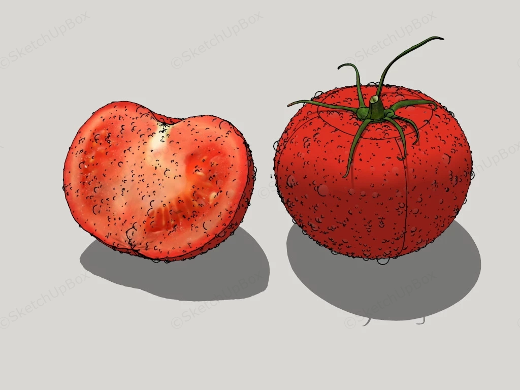 Tomato Vegetable sketchup model preview - SketchupBox
