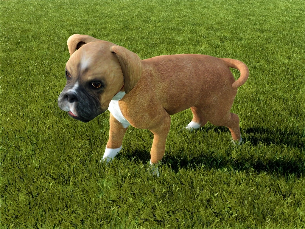 Boxer Dog sketchup model preview - SketchupBox