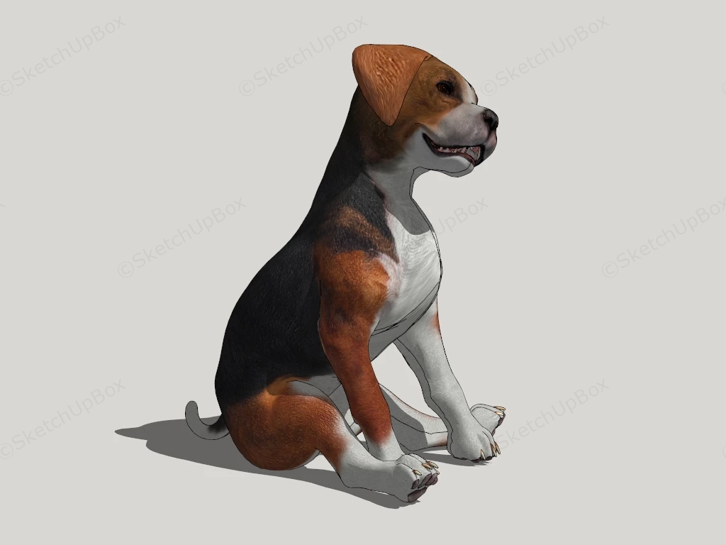 Tan And White Hokkaido Dog sketchup model preview - SketchupBox