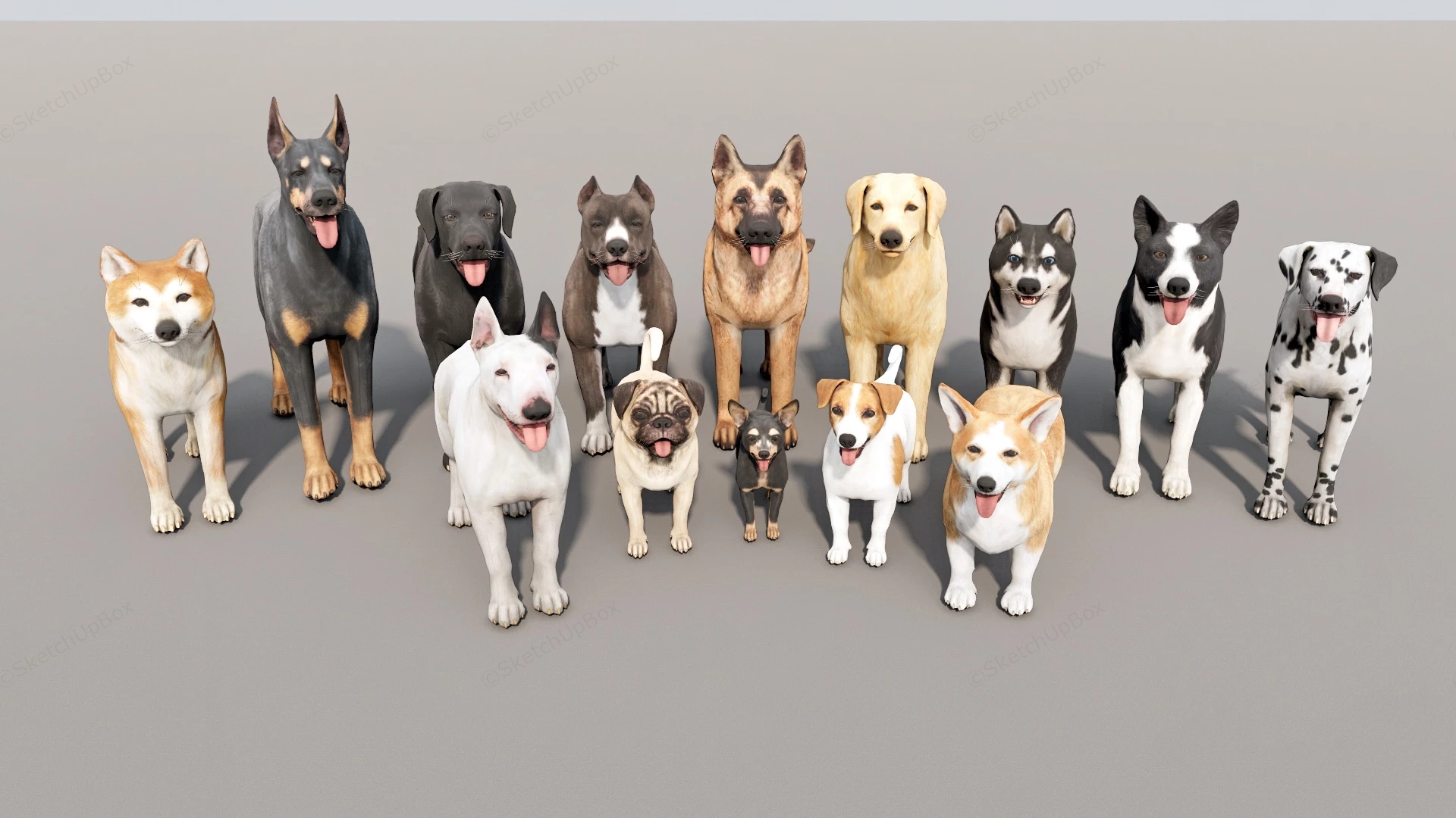 14 Dog Collections sketchup model preview - SketchupBox
