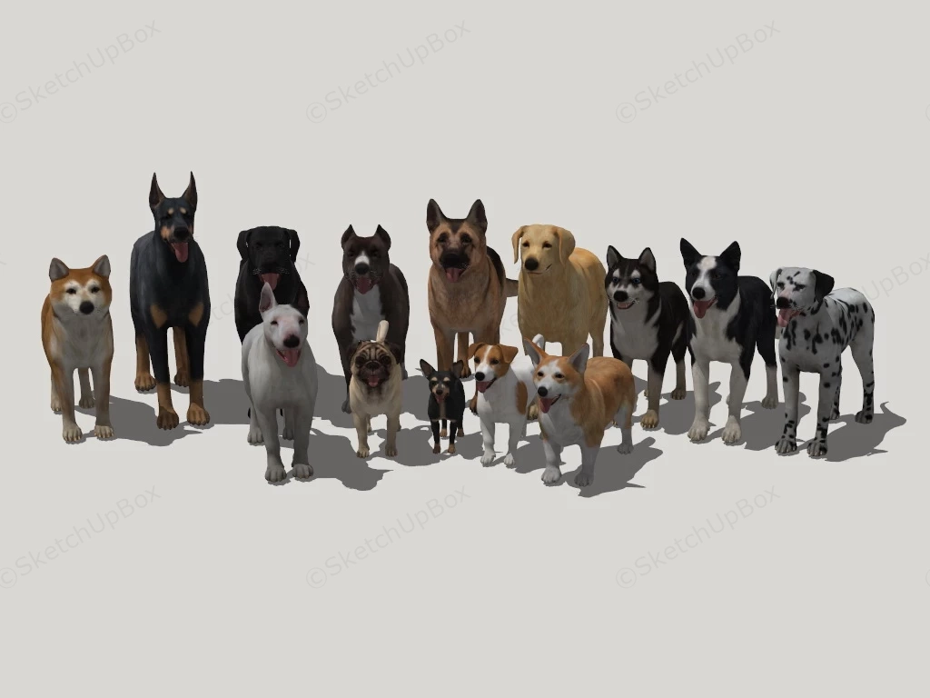 14 Dog Collections sketchup model preview - SketchupBox