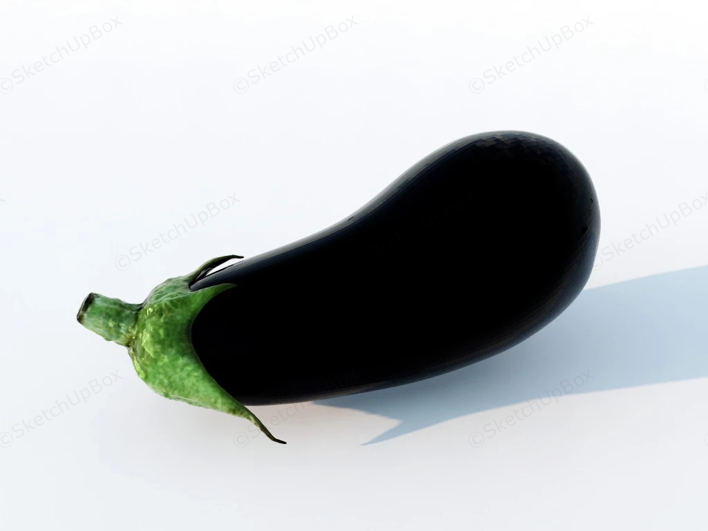 Ripe Eggplant sketchup model preview - SketchupBox