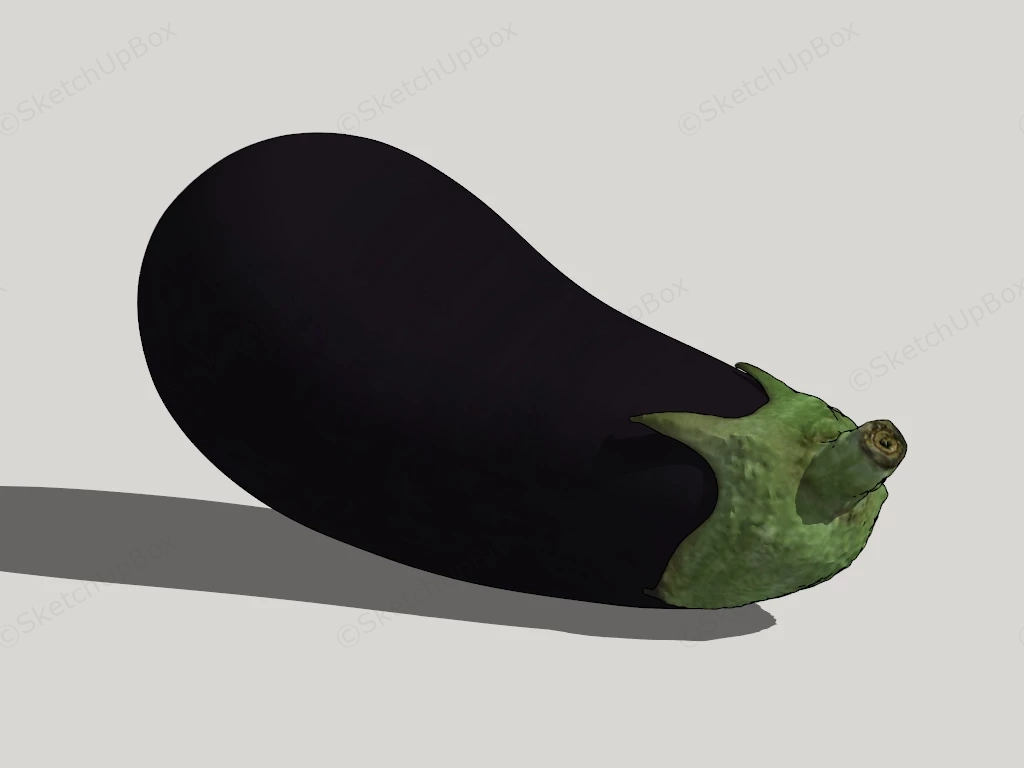 Ripe Eggplant sketchup model preview - SketchupBox