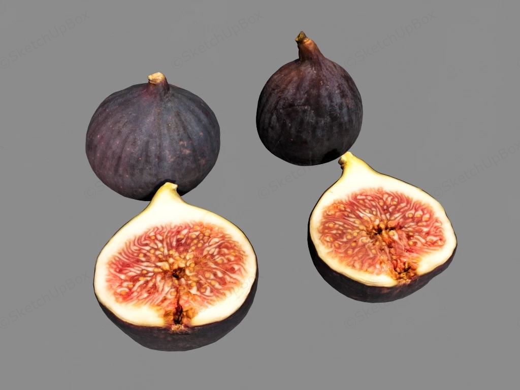 Fresh Fig Fruit sketchup model preview - SketchupBox