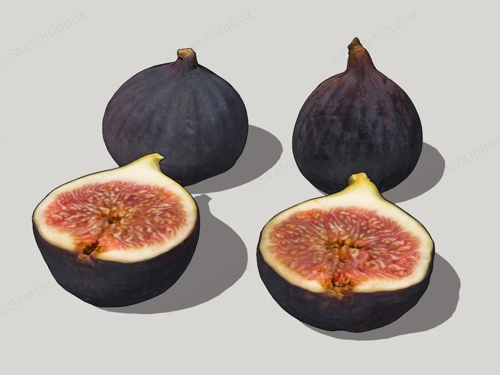 Fresh Fig Fruit sketchup model preview - SketchupBox