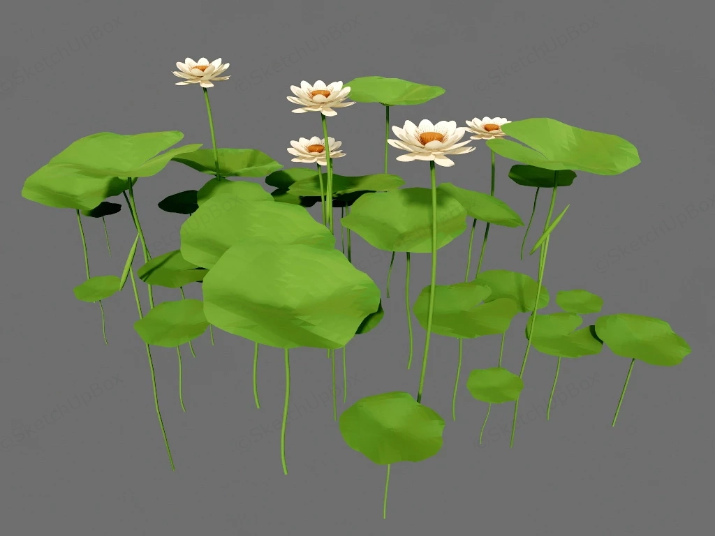 Pond Lotus Plants sketchup model preview - SketchupBox