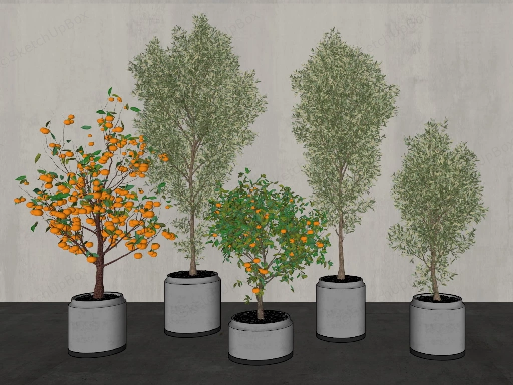 Potted Tree Plants sketchup model preview - SketchupBox