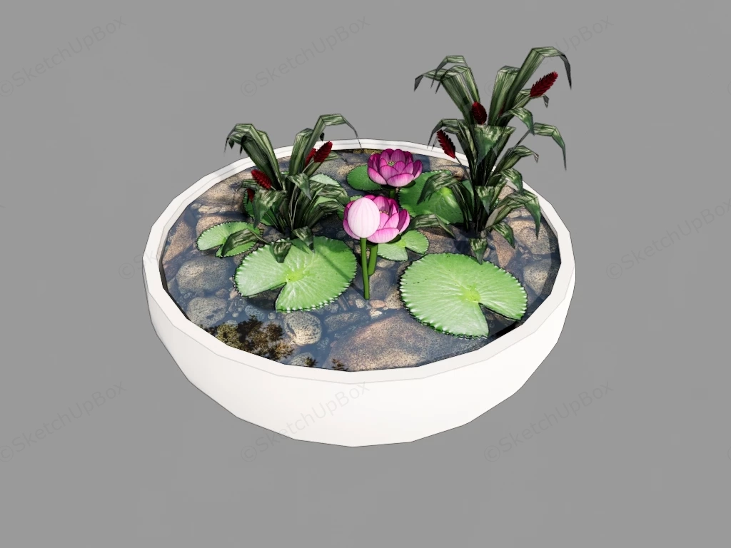 Water Bowl Pond sketchup model preview - SketchupBox