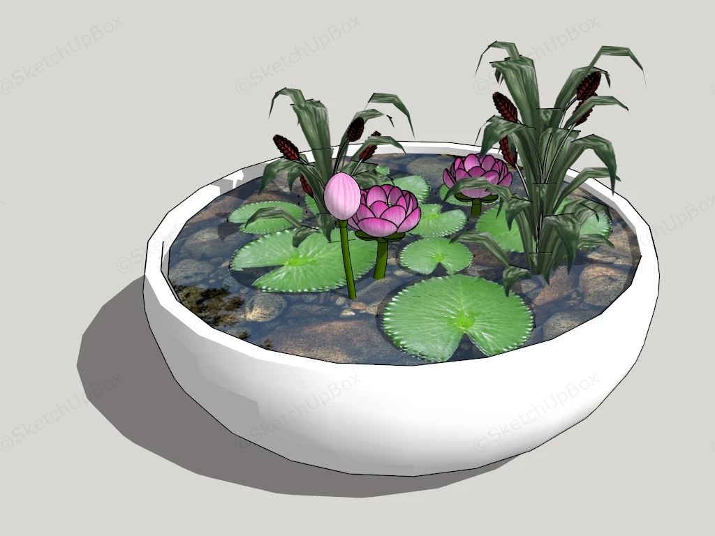 Water Bowl Pond sketchup model preview - SketchupBox