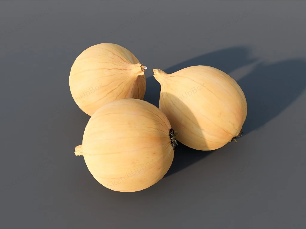 Yellow Onions sketchup model preview - SketchupBox
