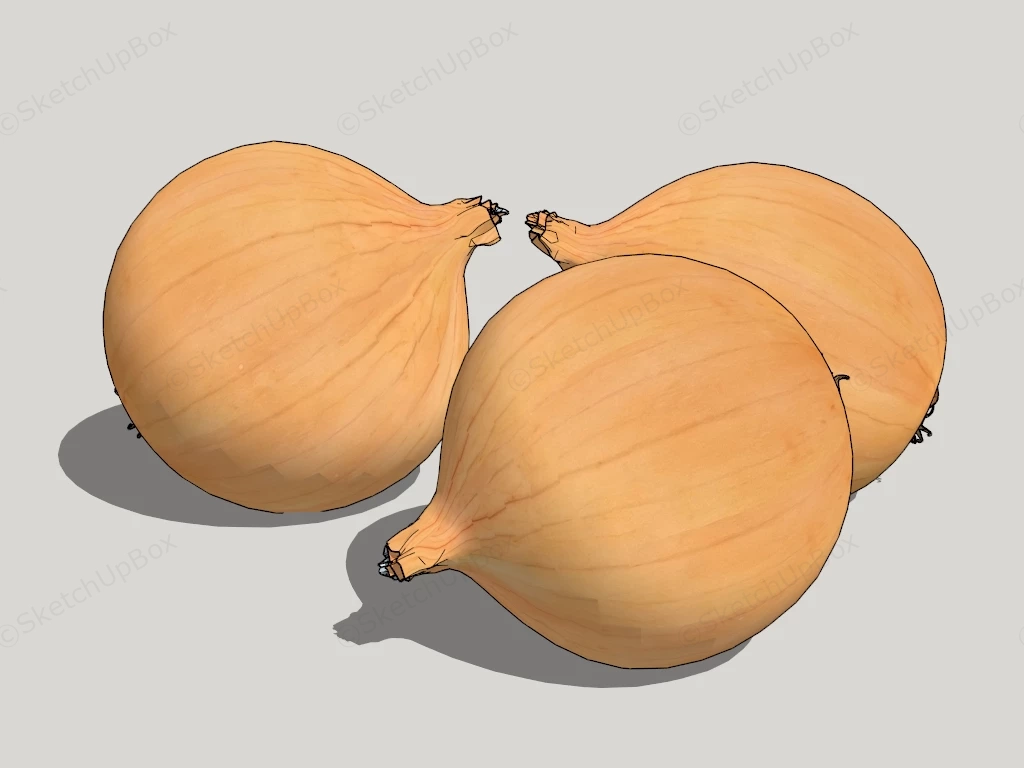 Yellow Onions sketchup model preview - SketchupBox