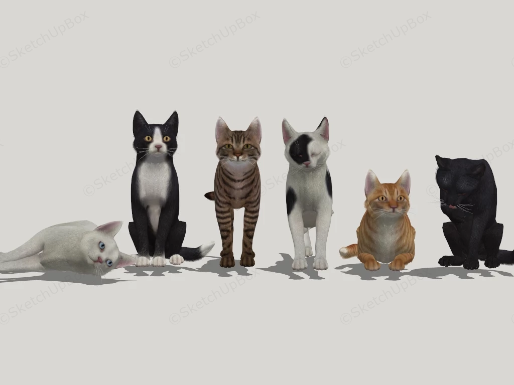 Beautiful Cats sketchup model preview - SketchupBox