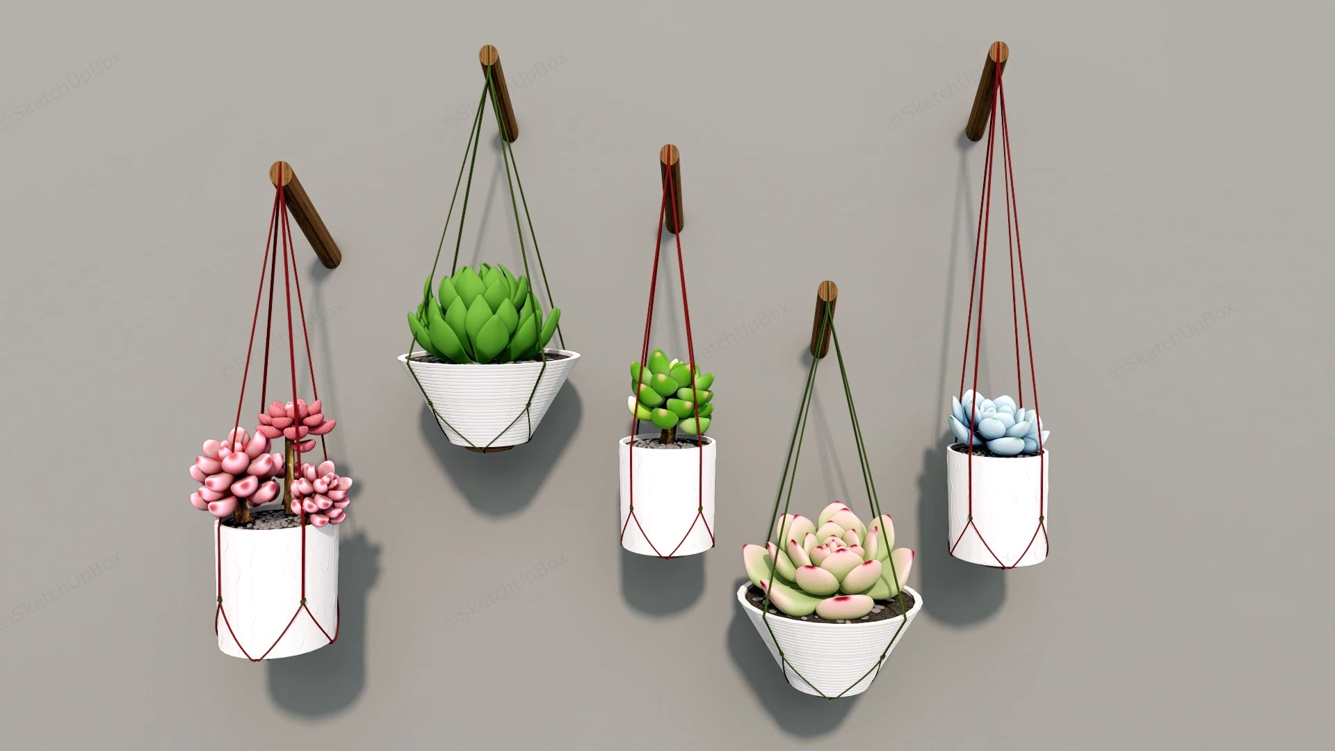 Wall Hanging Succulent Planters sketchup model preview - SketchupBox