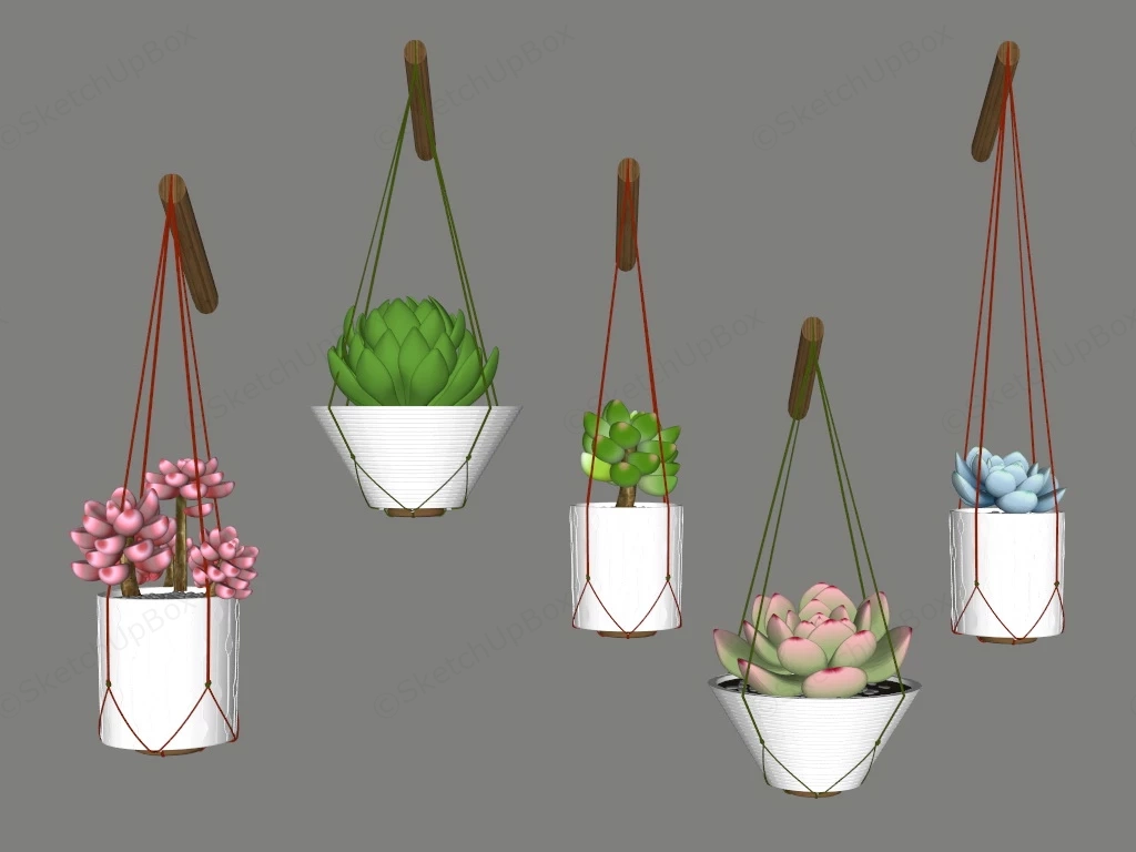 Wall Hanging Succulent Planters sketchup model preview - SketchupBox