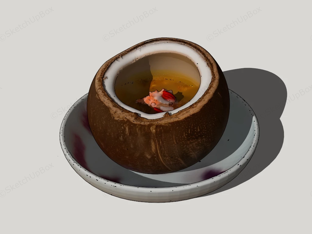 Coconut Shell Soup sketchup model preview - SketchupBox
