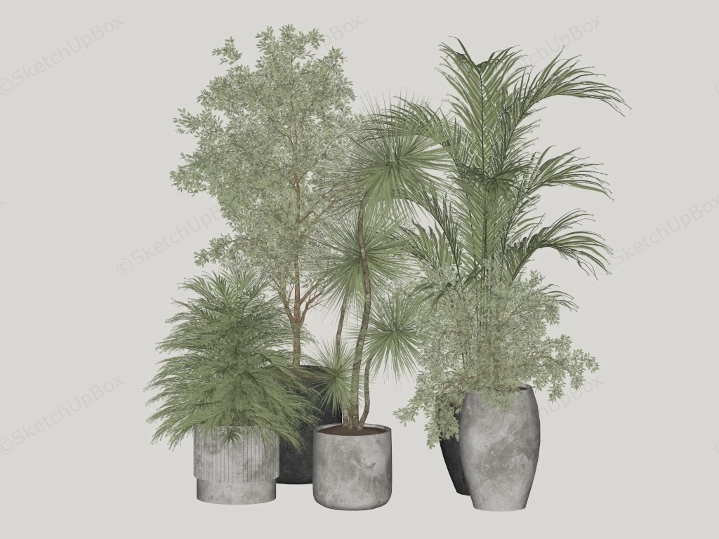 Large Office Plants sketchup model preview - SketchupBox