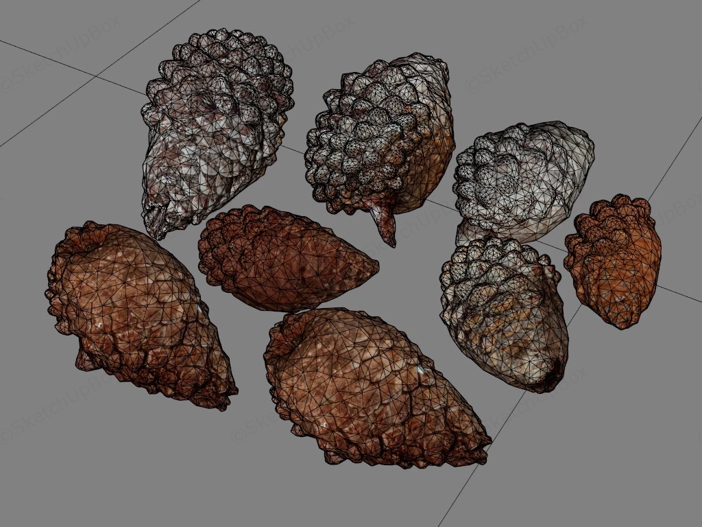 Pine Cones sketchup model preview - SketchupBox