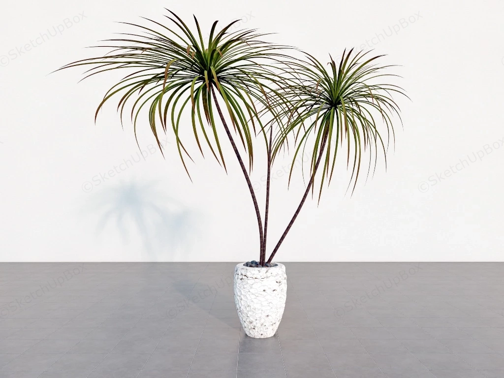 Dragon Tree House Plant sketchup model preview - SketchupBox