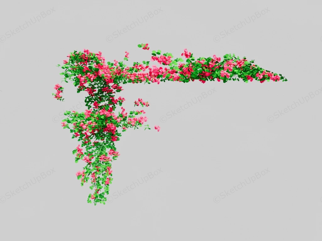 Red Rose Vine sketchup model preview - SketchupBox