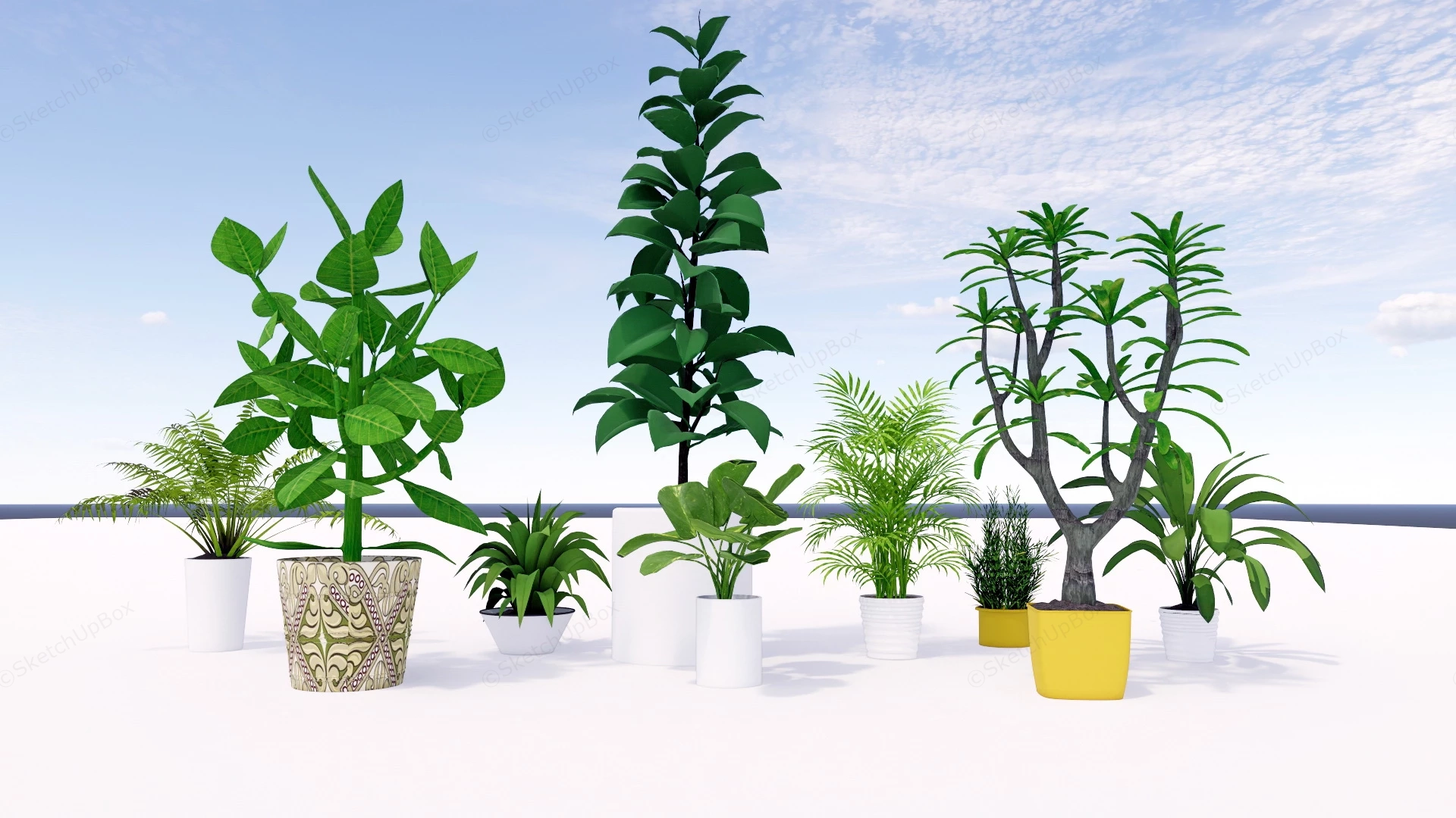 Small House Plants sketchup model preview - SketchupBox