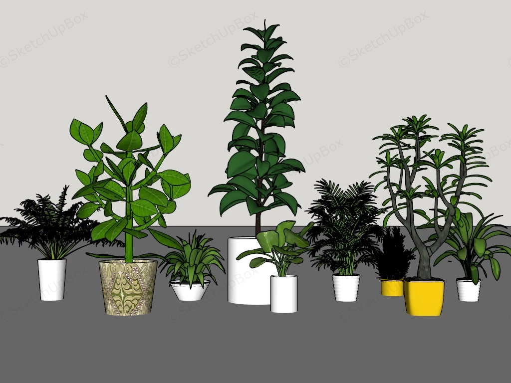 Small House Plants sketchup model preview - SketchupBox