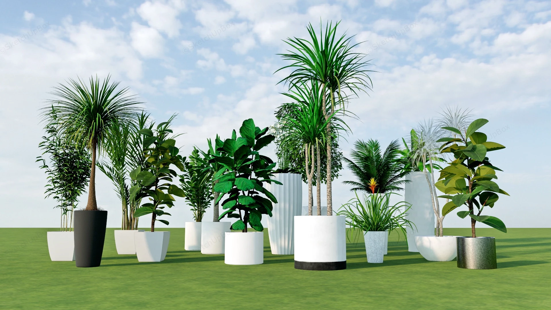 Tropical Green Foliage Plants sketchup model preview - SketchupBox