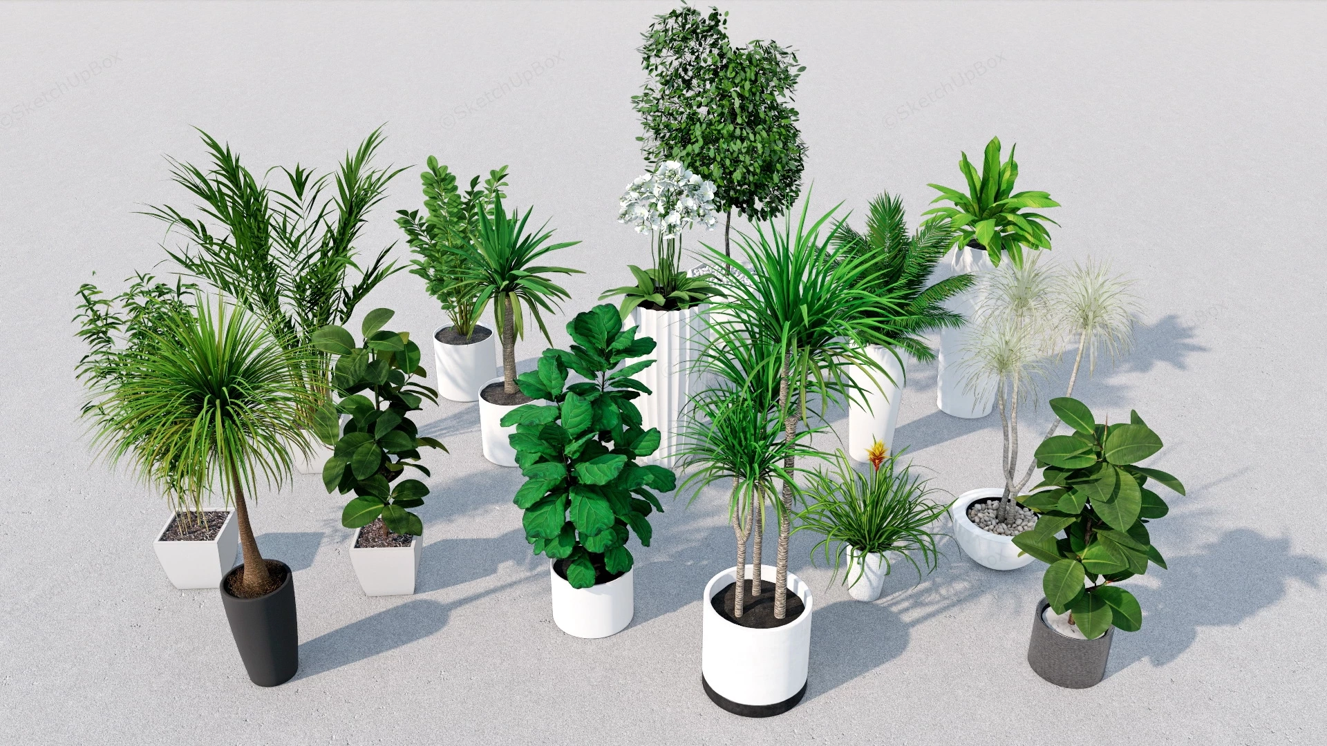 Tropical Green Foliage Plants sketchup model preview - SketchupBox