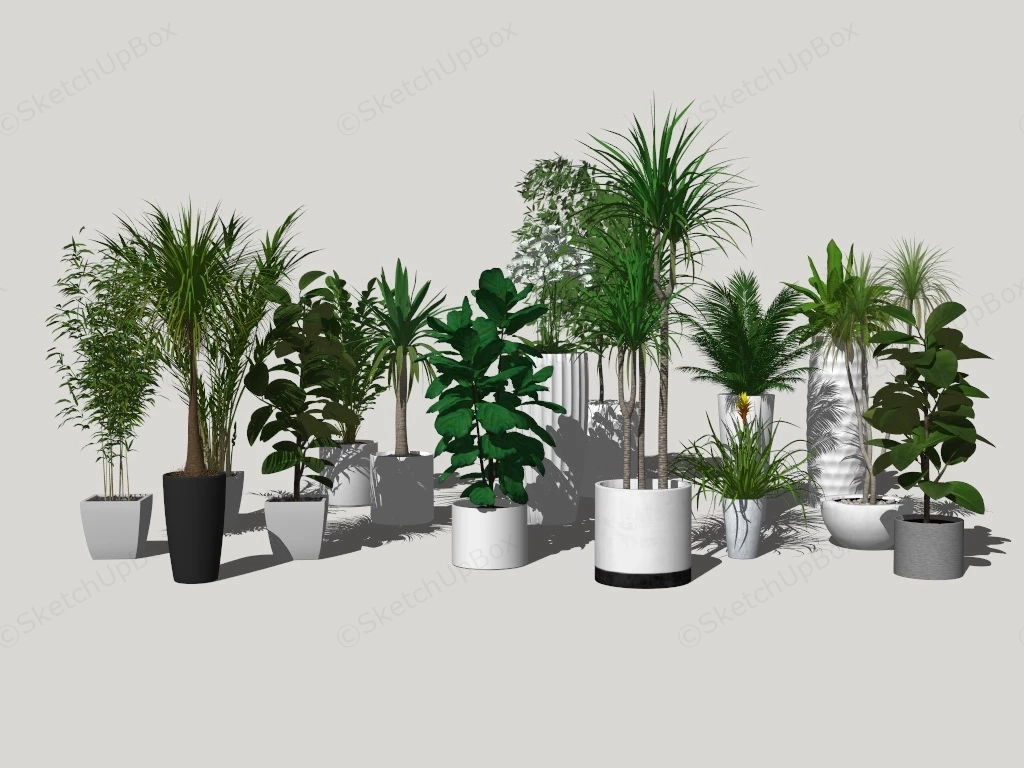Tropical Green Foliage Plants sketchup model preview - SketchupBox