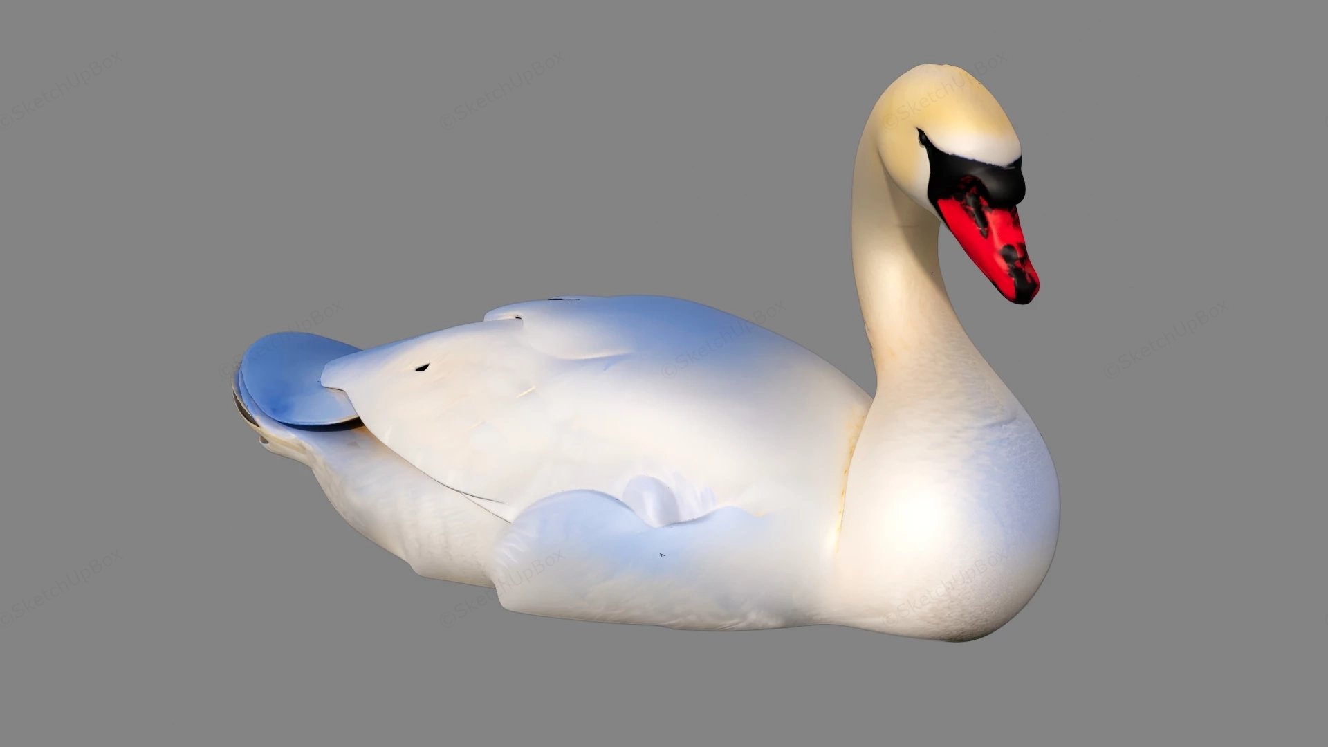 White Swan sketchup model preview - SketchupBox