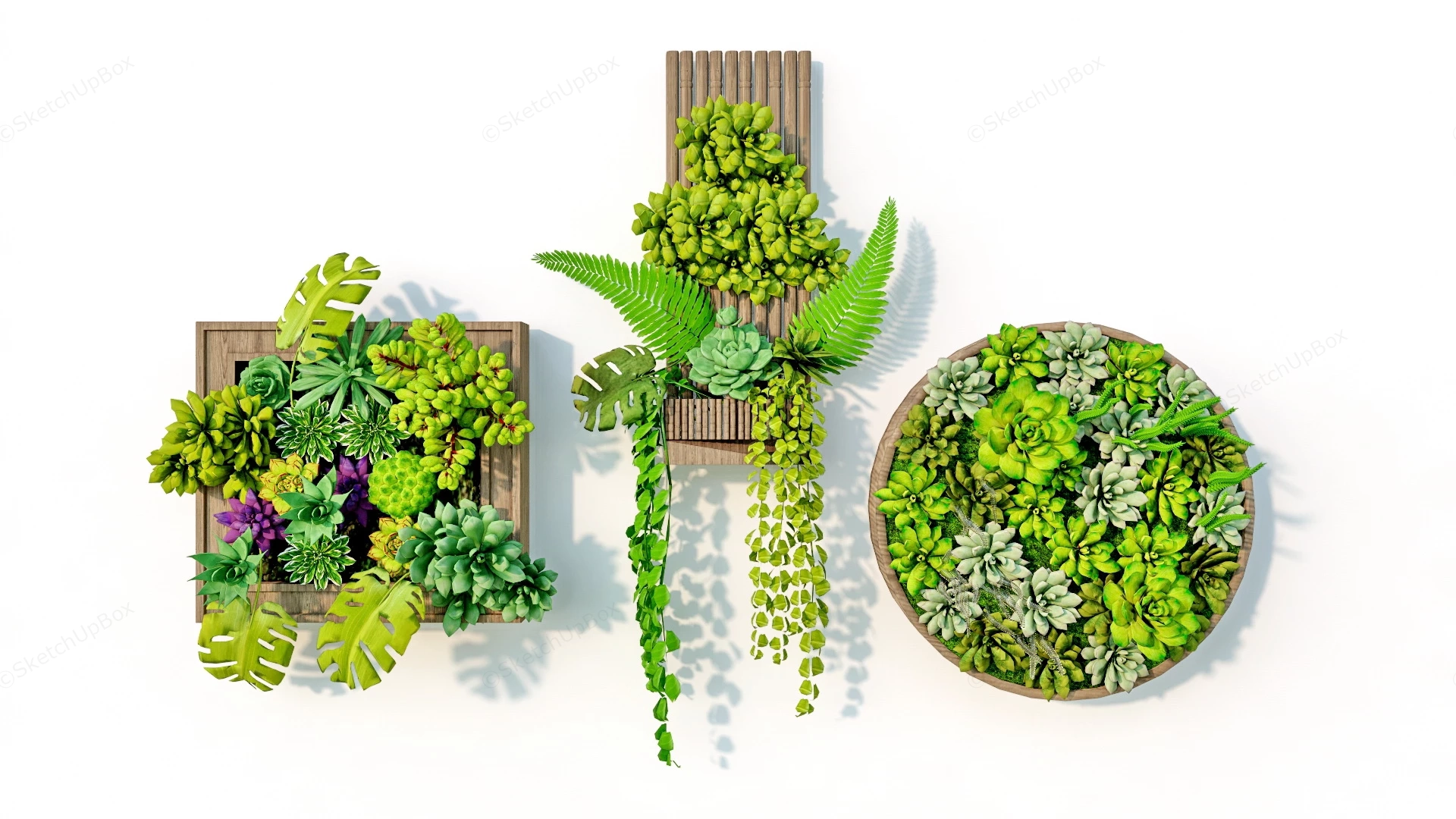 Vertical Succulent Garden sketchup model preview - SketchupBox