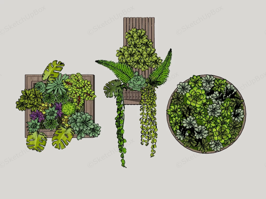 Vertical Succulent Garden sketchup model preview - SketchupBox