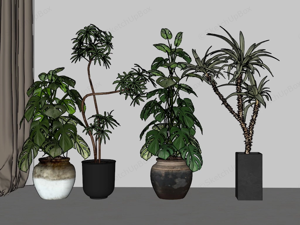 Indoor Foliage Plants sketchup model preview - SketchupBox