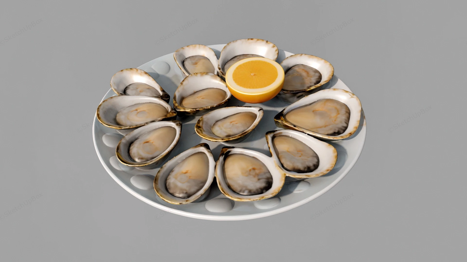 Scallop Food sketchup model preview - SketchupBox