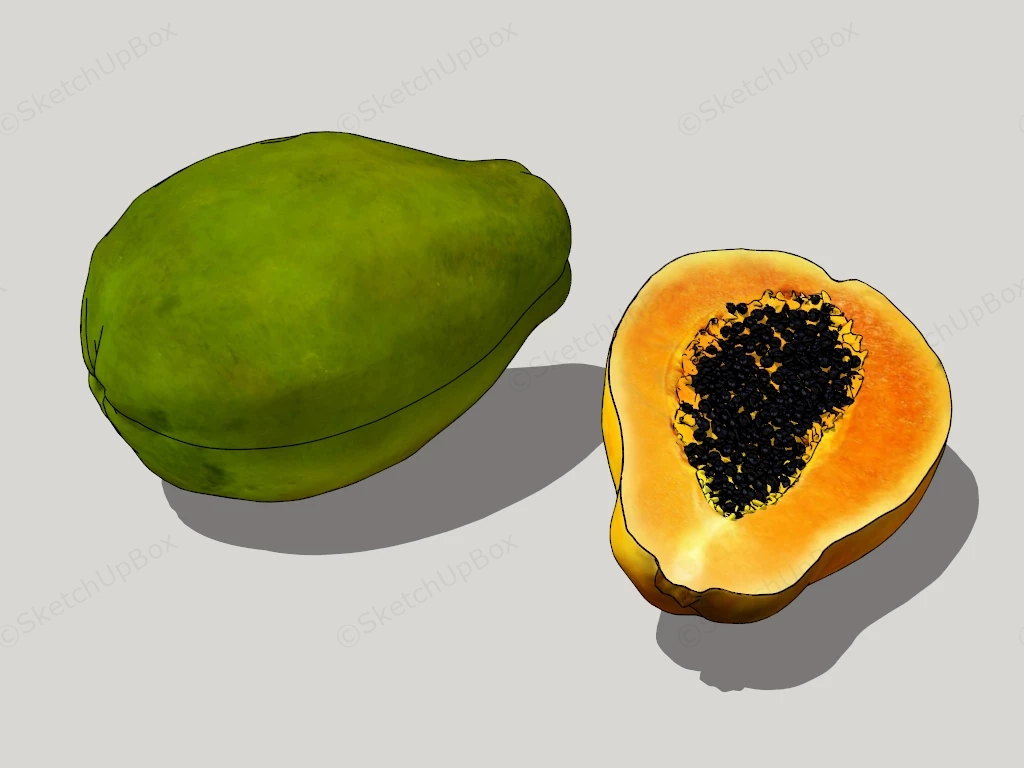 Pawpaw Fruit sketchup model preview - SketchupBox